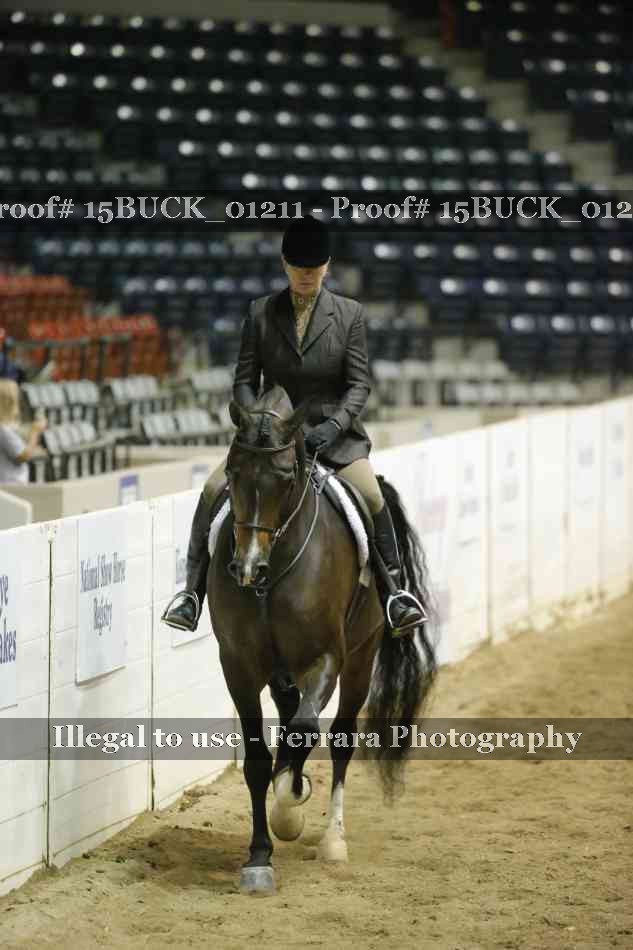 Proof 15BUCK_01211