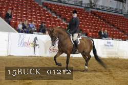 15BUCK_01212 proof