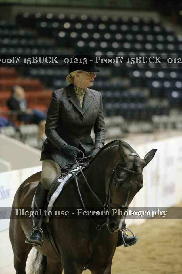 Proof 15BUCK_01213