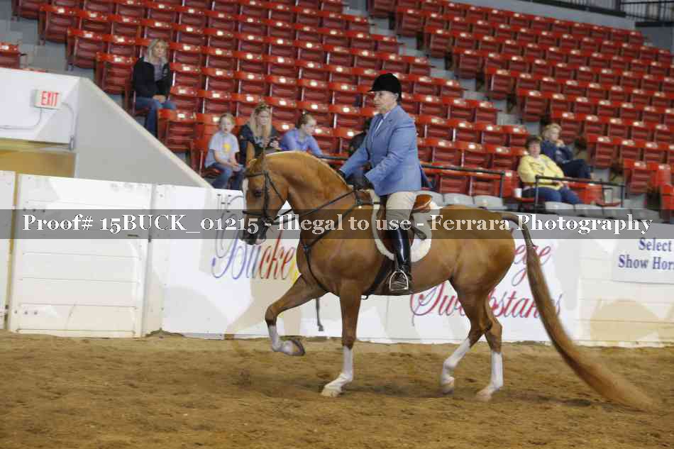 Proof 15BUCK_01215