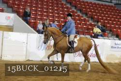 15BUCK_01215 proof