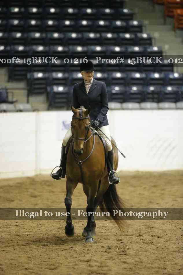 Proof 15BUCK_01216
