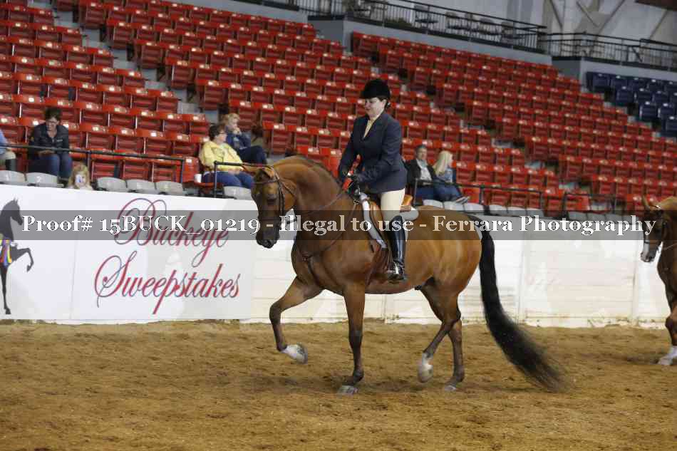 Proof 15BUCK_01219
