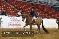 15BUCK_01219 proof