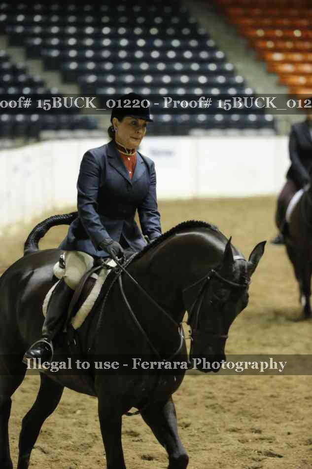 Proof 15BUCK_01220
