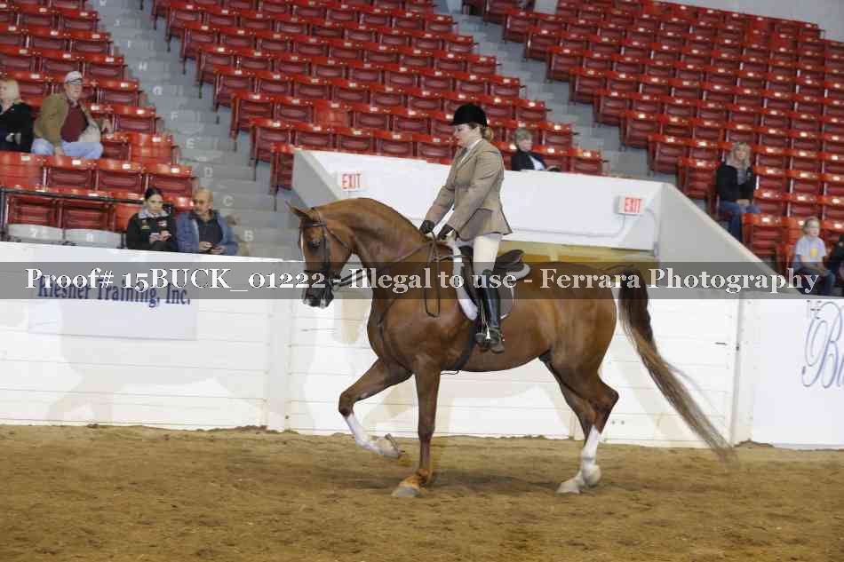 Proof 15BUCK_01222