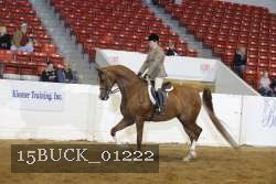 15BUCK_01222 proof