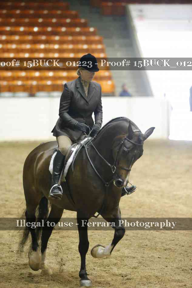 Proof 15BUCK_01223