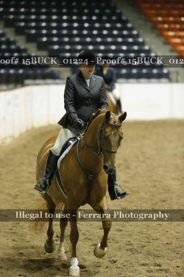Proof 15BUCK_01224