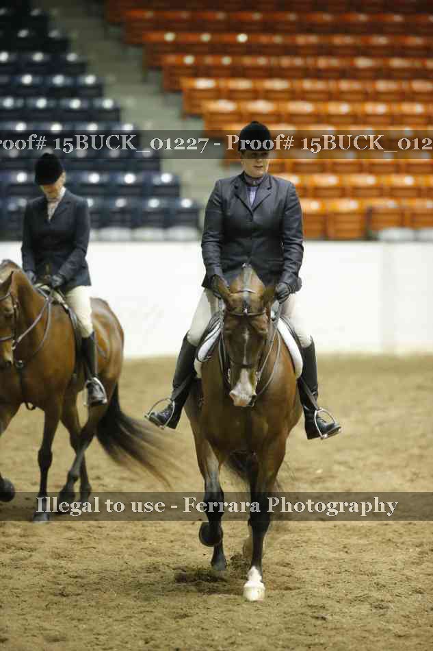 Proof 15BUCK_01227