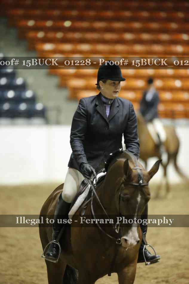 Proof 15BUCK_01228
