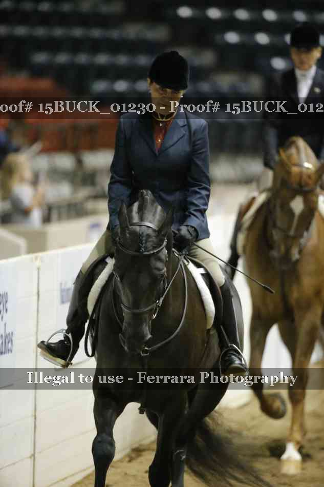 Proof 15BUCK_01230
