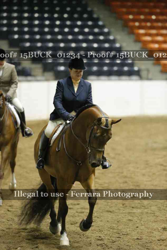 Proof 15BUCK_01234