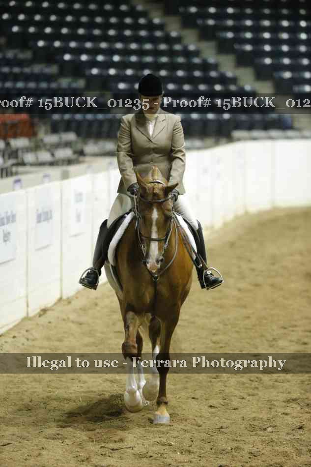 Proof 15BUCK_01235