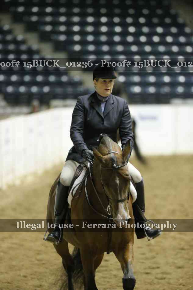 Proof 15BUCK_01236
