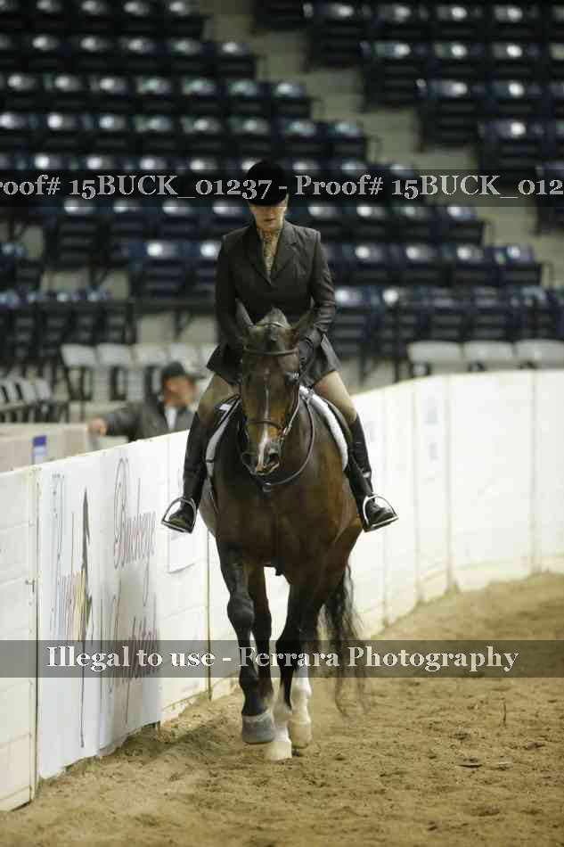 Proof 15BUCK_01237