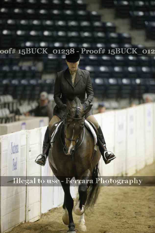 Proof 15BUCK_01238