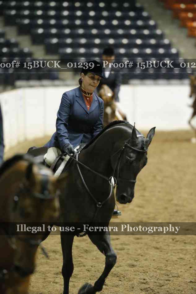 Proof 15BUCK_01239