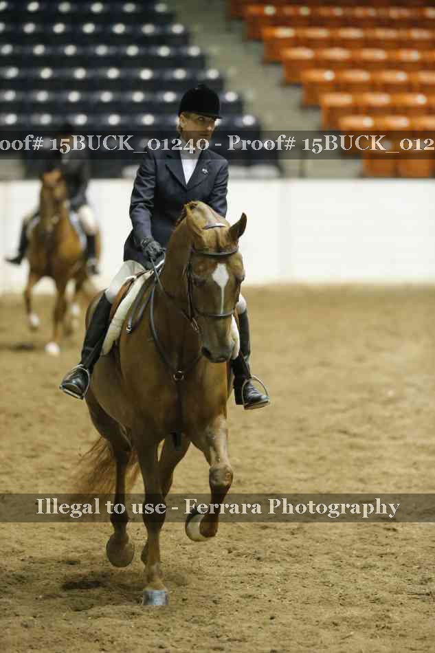 Proof 15BUCK_01240