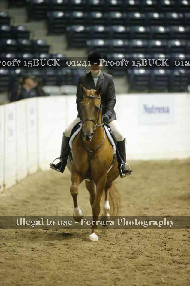 Proof 15BUCK_01241
