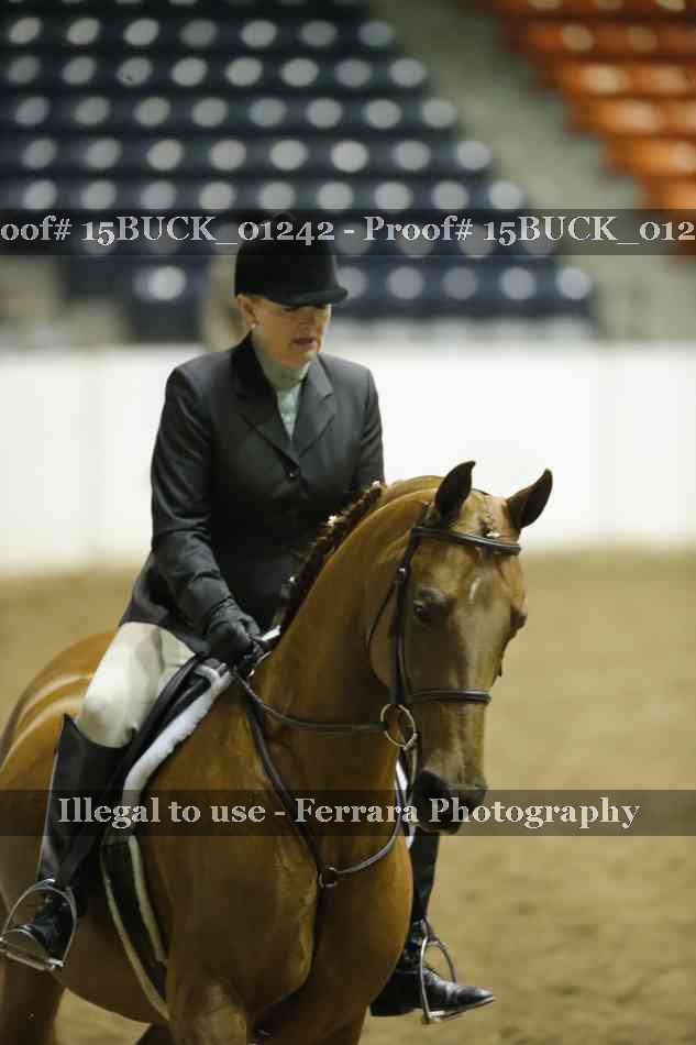 Proof 15BUCK_01242