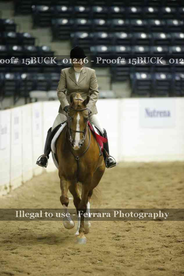 Proof 15BUCK_01246