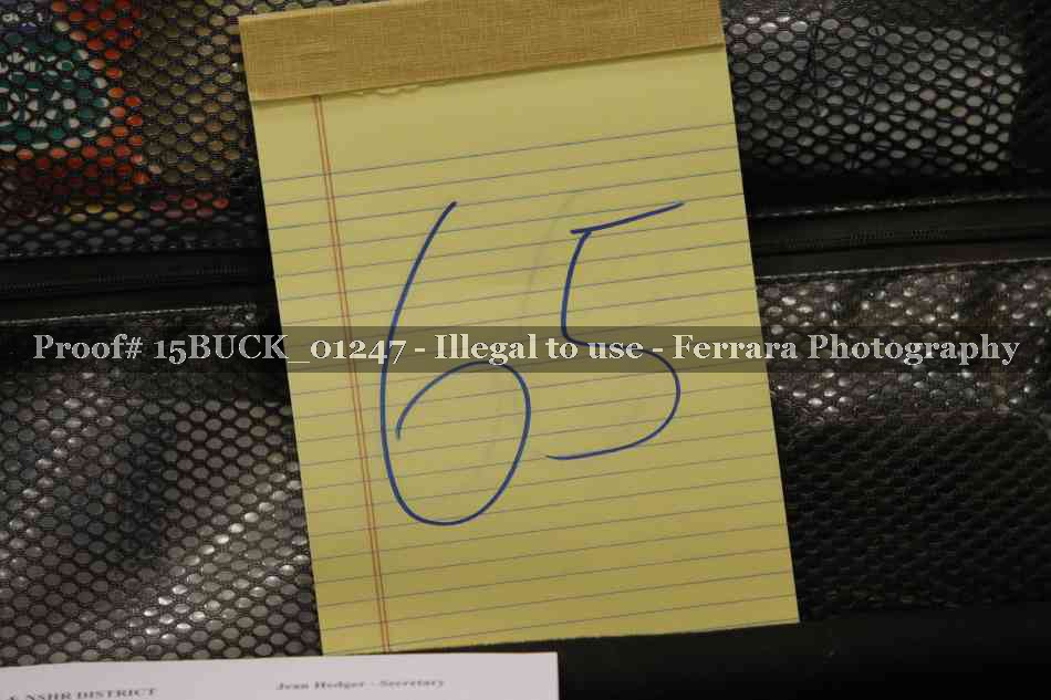 Proof 15BUCK_01247