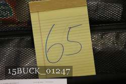 15BUCK_01247 proof