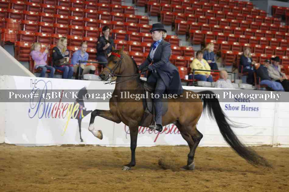 Proof 15BUCK_01248