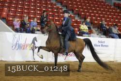 15BUCK_01248 proof