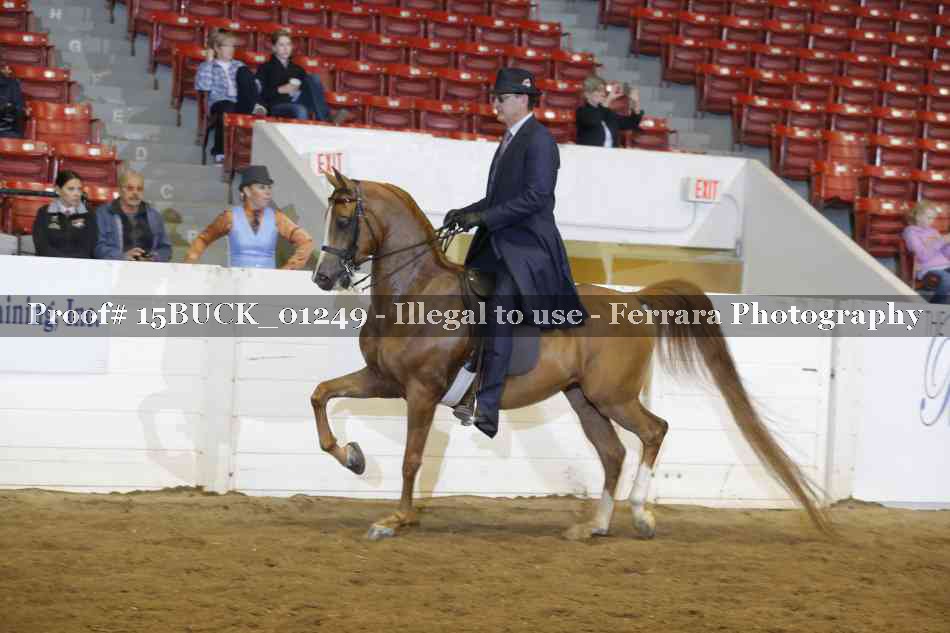 Proof 15BUCK_01249