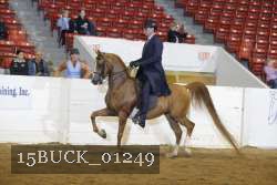 15BUCK_01249 proof