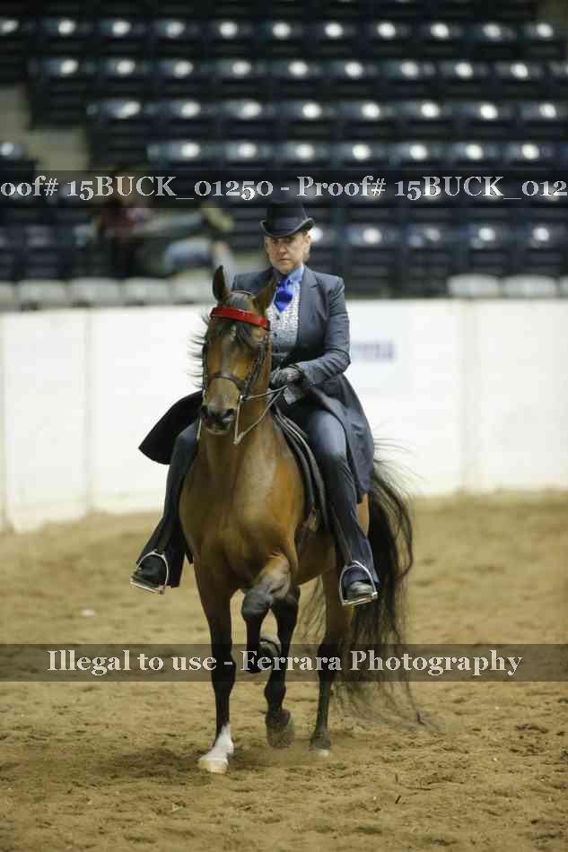 Proof 15BUCK_01250