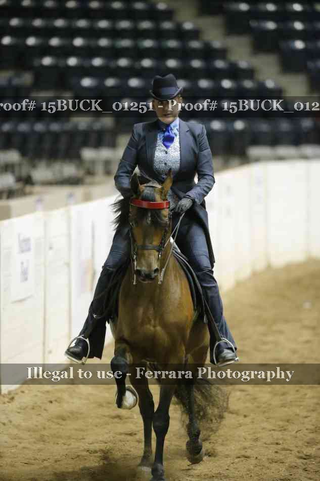 Proof 15BUCK_01251