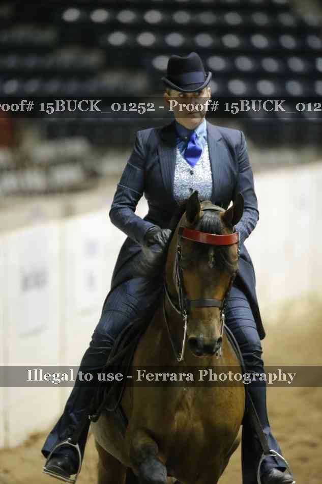 Proof 15BUCK_01252