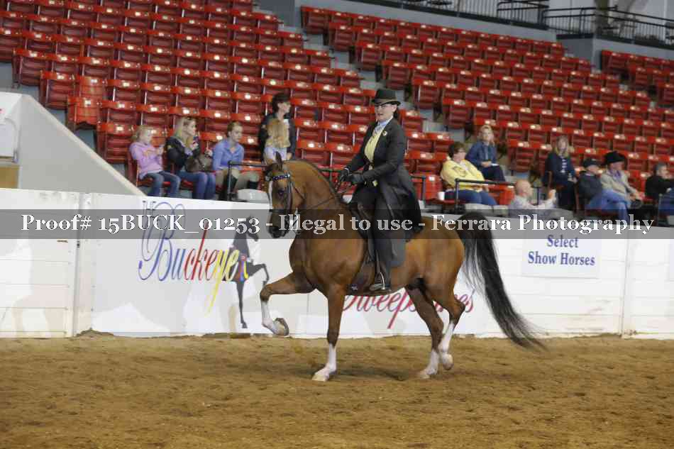 Proof 15BUCK_01253