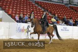 15BUCK_01253 proof