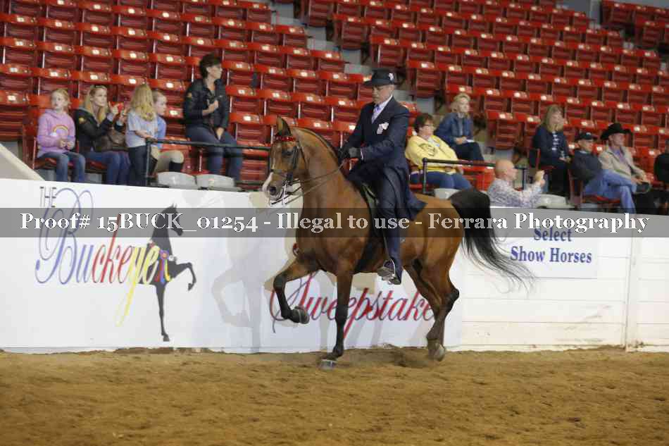 Proof 15BUCK_01254