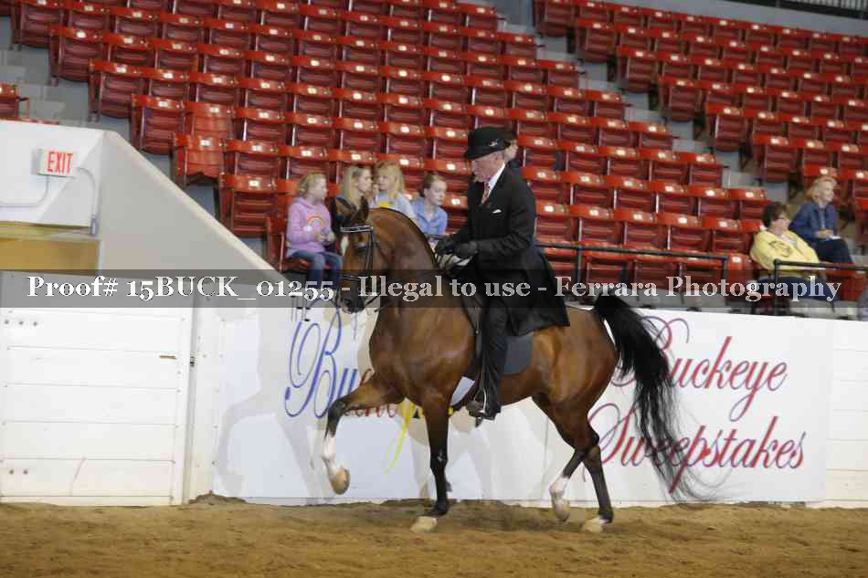 Proof 15BUCK_01255