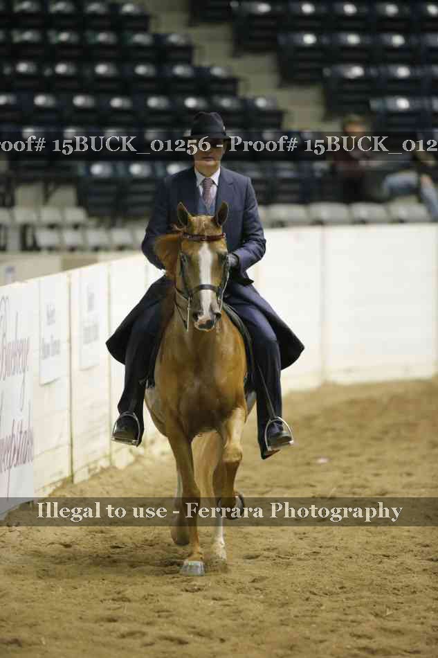 Proof 15BUCK_01256