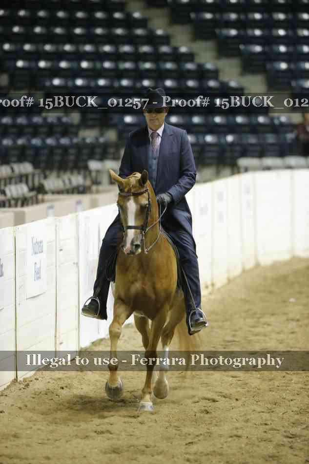 Proof 15BUCK_01257