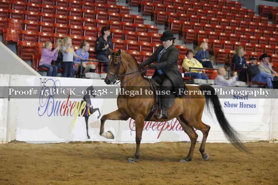 Proof 15BUCK_01258