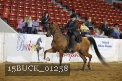 15BUCK_01258 proof