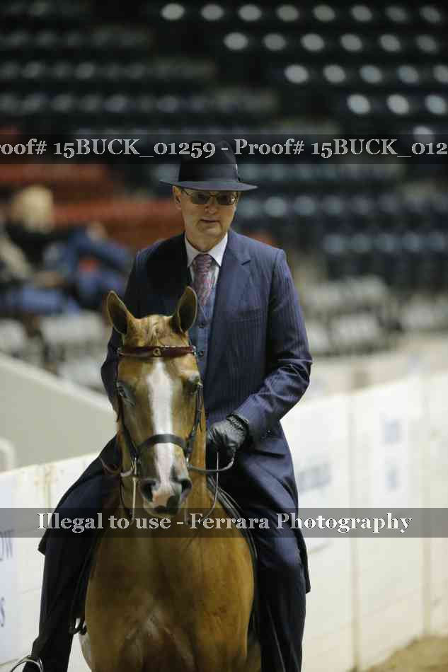 Proof 15BUCK_01259