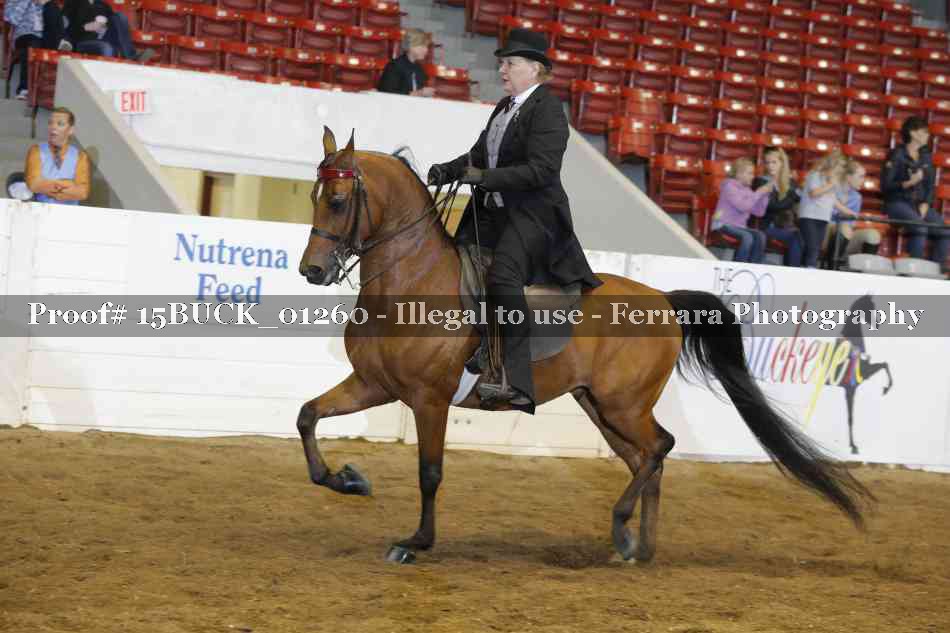 Proof 15BUCK_01260