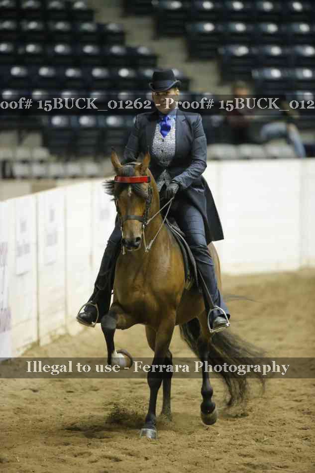 Proof 15BUCK_01262