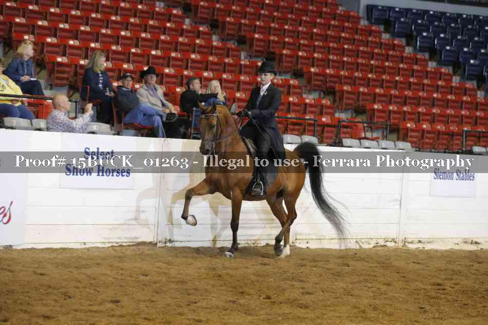 Proof 15BUCK_01263