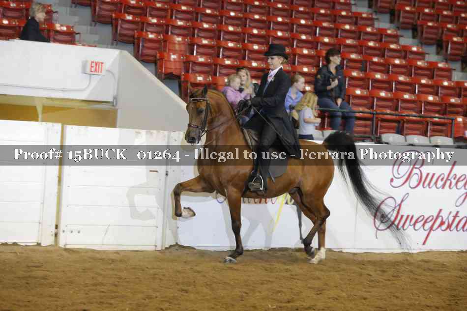 Proof 15BUCK_01264