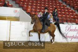 15BUCK_01264 proof