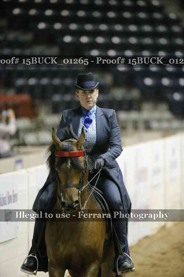 Proof 15BUCK_01265